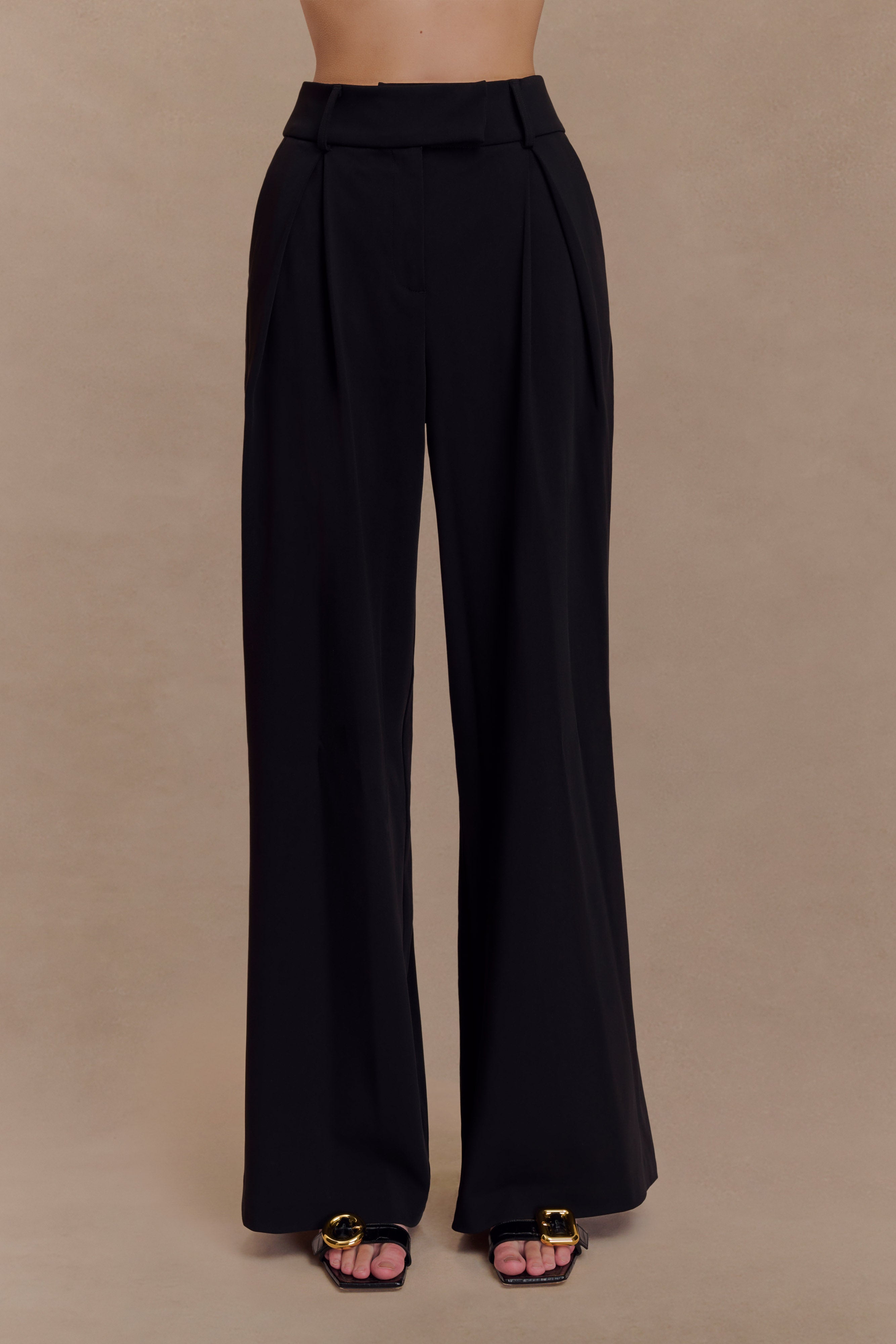 Pleated Wide Leg Pants for Women - Jacqueline Black | Elegant & Versatile