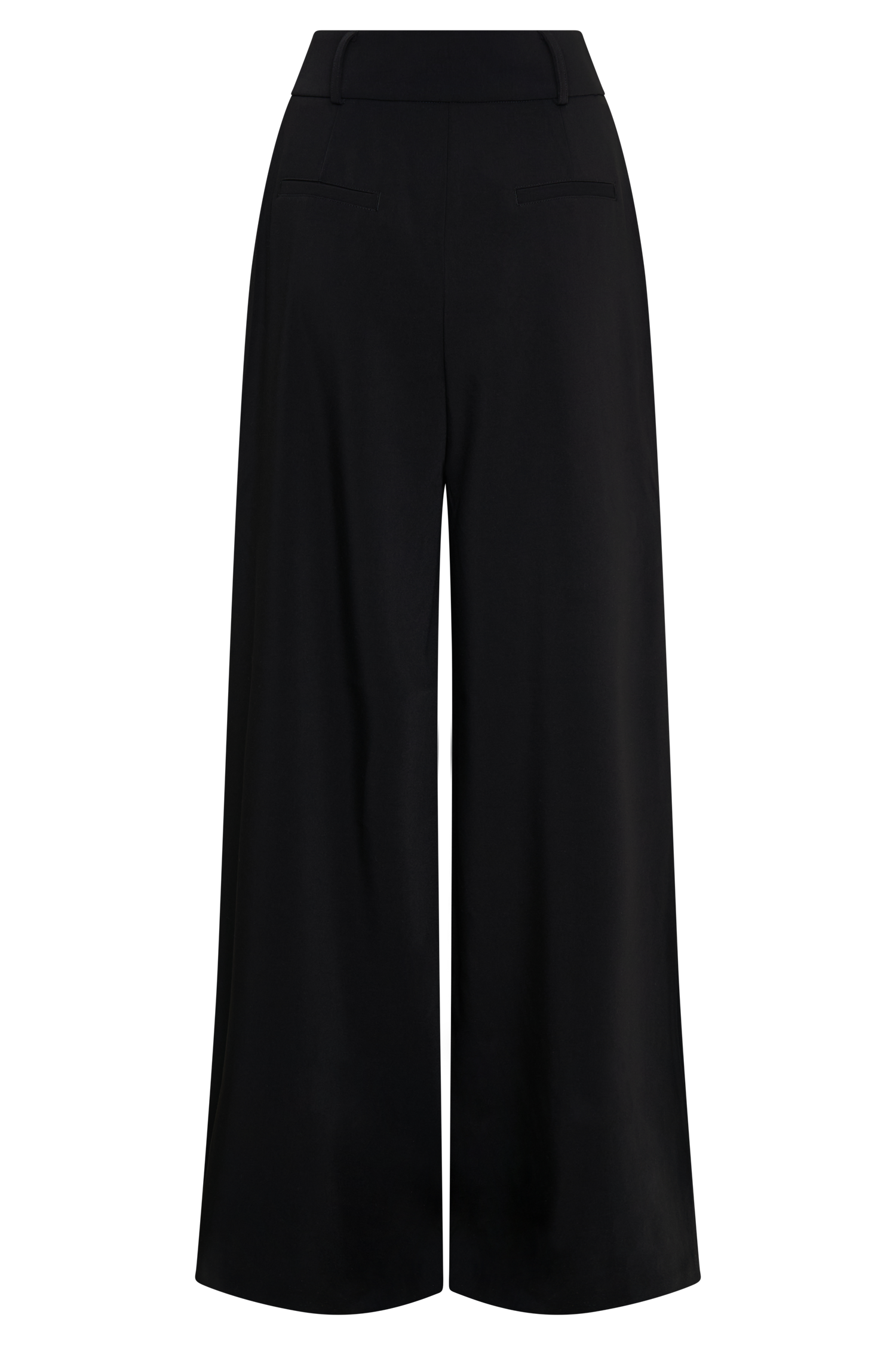 Pleated Wide Leg Pants for Women - Jacqueline Black | Elegant & Versatile