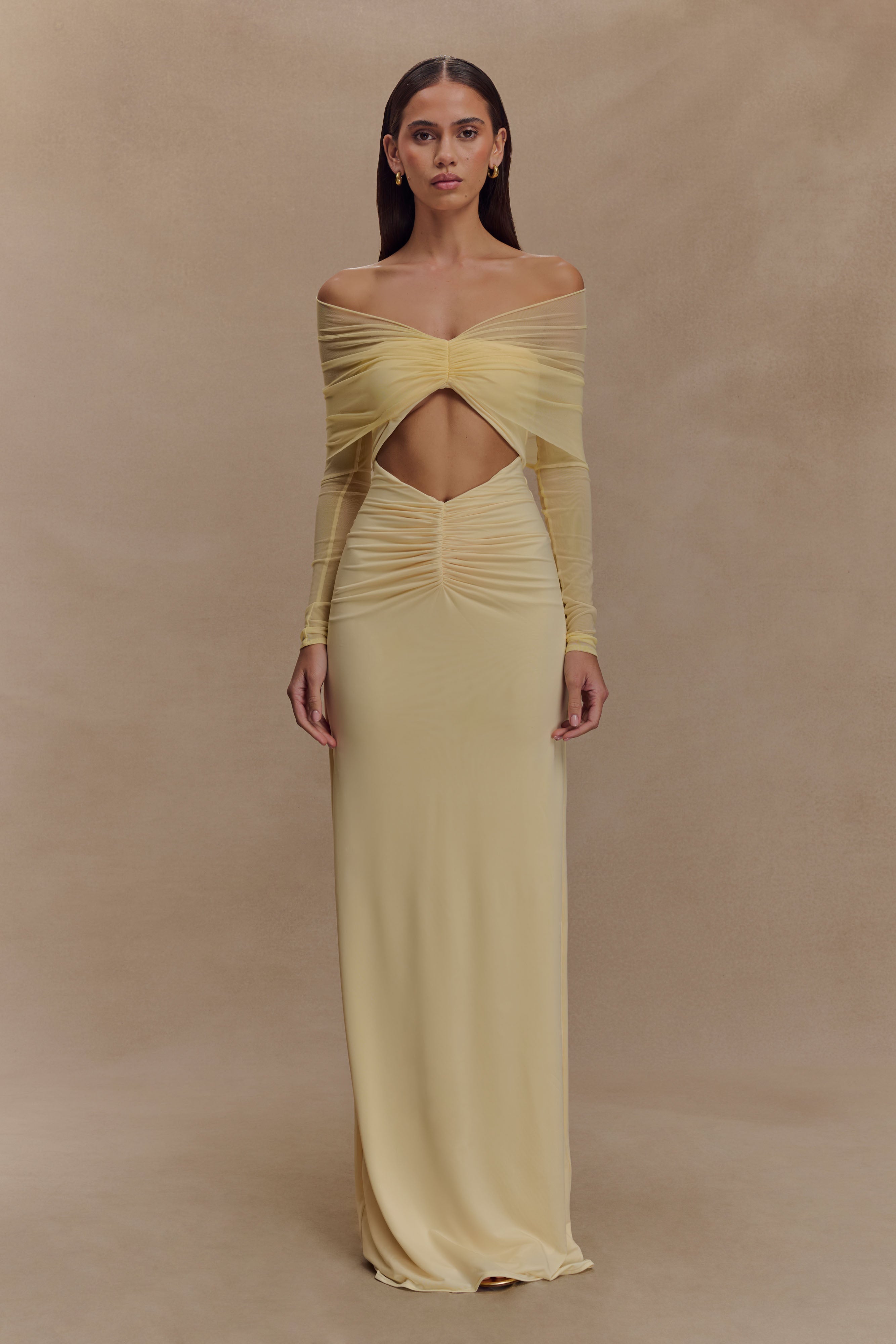 Slinky Mesh Maxi Dress with V Neck & Sheer Sleeves | Rafaella Lemon