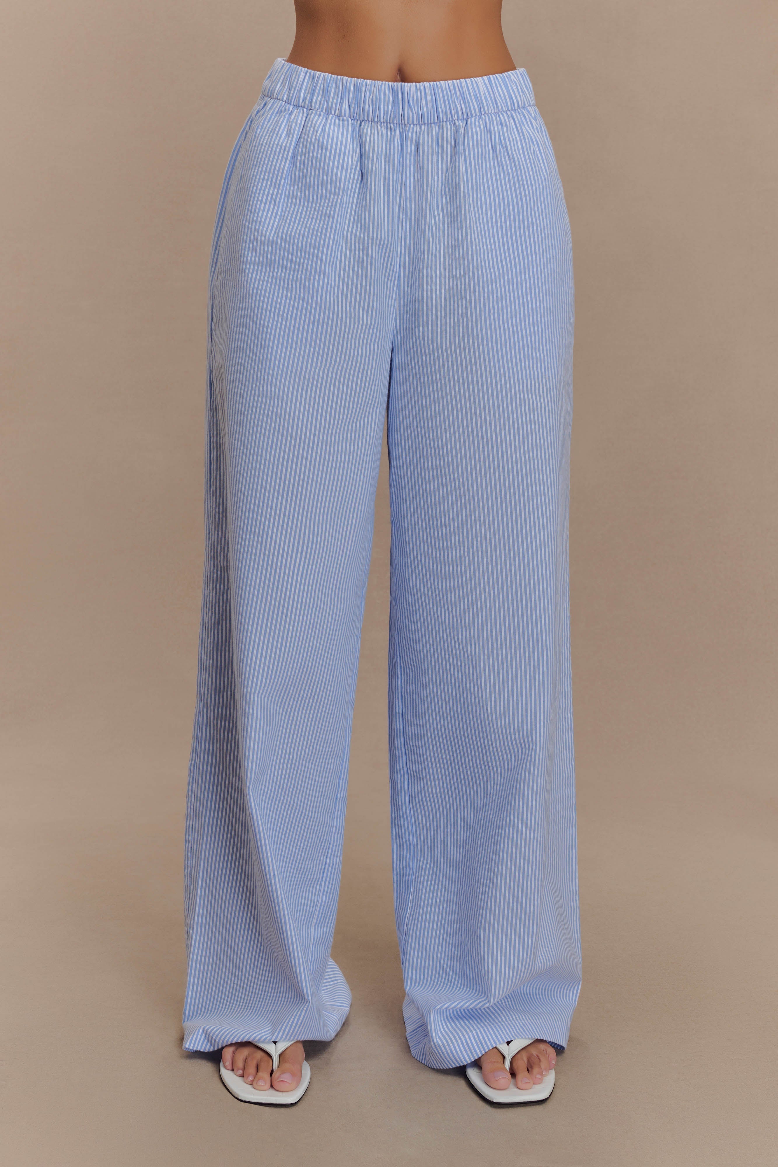Wide Leg Pants with Elastic Waist for Women | Hansen Blue Pinstripe